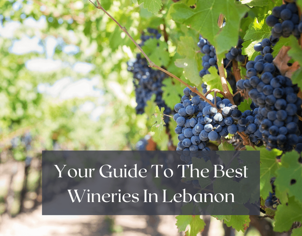 Your guide to the best wineries in Lebanon